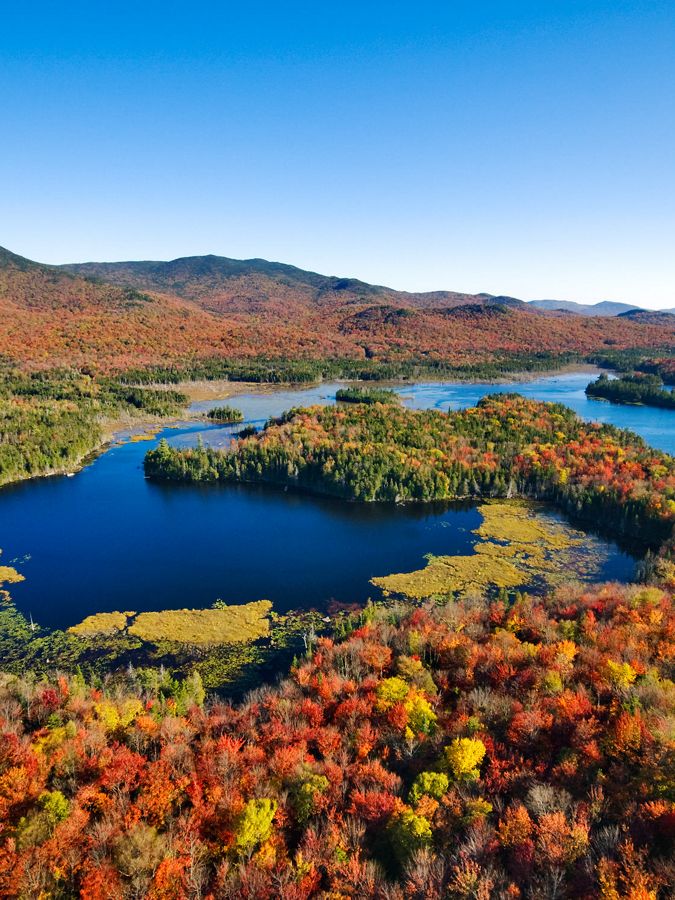 Aerial view of fall-colored forest with blue pond.