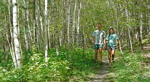 A man and a woman hike down a trail in the middle of a forest at High Pond Natural Area in Vermont on a summer day.