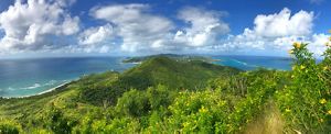 Landscape view from a high vantage point looking out across the island of St. Croix with its green tree-covered hills and blue ocean under a blue sky with white puffy clouds.