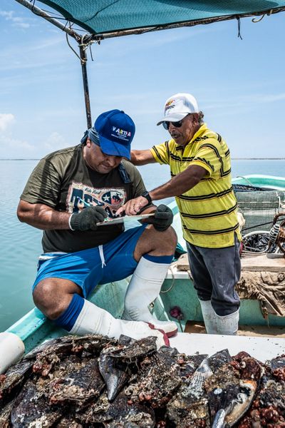 Manglito fishermen note the amount of scallops collected in each fishing location.