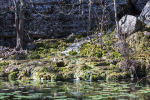 The tranquil waters of Honey Creek Spring flow along the banks of the 621-acre ranch near San Antonio, Texas.