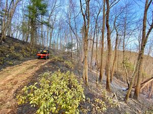 A small red fire engine sit on a wide path cut along the side of a steep slope. The land on either side is darkened by a fire that has moved across the slope. Trees are still standing and unharmed.