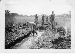 Black and white photo from 1935. Five men holding shovels stand at the end of a wide ditch filled ankle deep with water. One man is in the ditch bent over digging.