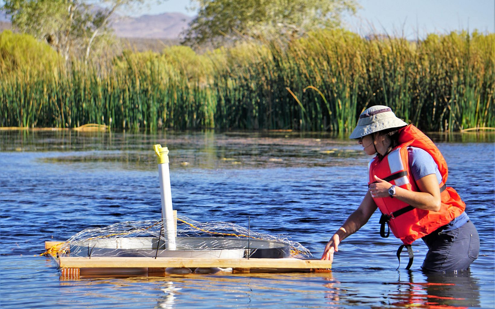 Studying hydrology DRI researcher Gabrielle Boisrame, Ph.D., inspects a floating evaporation pan at the headwaters of the Amargosa River. © Ali Swallow/Desert Research Institute
