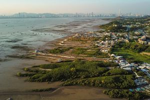 Aerial shot of wetlands in Deep Bay.
