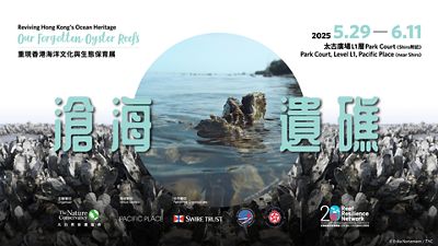 Through immersive displays, interactive experiences & virtual reality experience, the exhibition explores the ecological, cultural, and historical importance of oyster reefs.