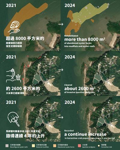 2021年至2024 年的生境管理工作結果
