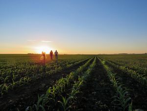 Three people walk across an agricultural field as the sun sets on the horizon.