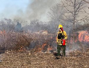 A prescribed burn in progress.
