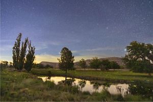 A pond surrounded by trees and towering plateaus is illuminated by fireflies and stars.