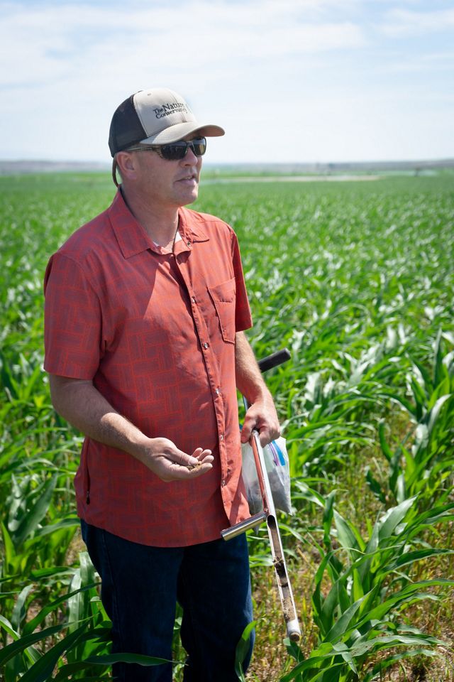 Man standing in a field of corn with seeds in his hand. 