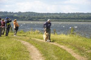 Several people hike with a dog on a grassy path next to water; some stop to look out over the water.