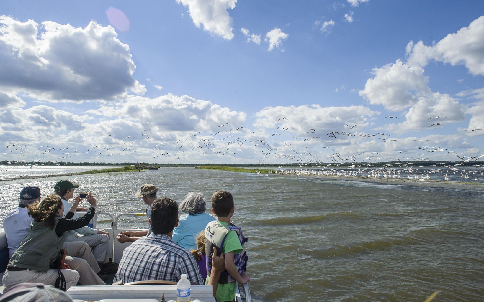 
                
                  Pontoon Ride Visitors, especially birders, can enjoy pontoon boat rides on Emiquon's waters.
                  © Laura Stoecker
                
              