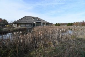 Henry N. Barkhausen Cache River Wetlands Center surrounded by shallow wetlands and grasses.