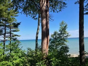 Snowcapped mountains under blue sky with vast expanse of forest in the valley below and a river running through it.