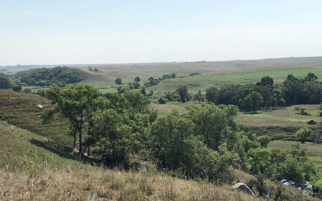 Landscape view of the Black Leg Ranch grasslands.