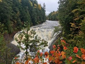 A rushing river falls into a waterfall between forested banks. 