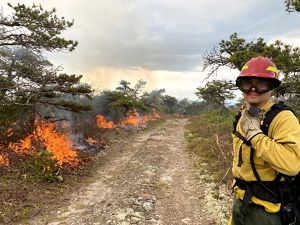 TNC Virginia's Matt Zabik monitors a fire line in May 2021 during a controlled burn in the Allegheny Highlands—monitoring good fire to enhance healthy forests. 