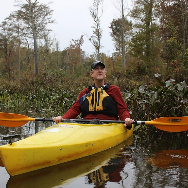 Candid photo of Senior Conservation Writer Daniel White. A man sits in a yellow kayak holding a paddle. He is looking up into the trees. The kayak is sitting in the open water of a cypress swamp.