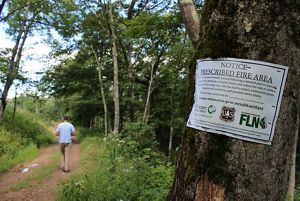 A man in a blue shirt walks down a forest trail. In the foreground a metal sign affixed to a tree announces that this is a prescribed fire area, detailing that the area was intentionally burned.