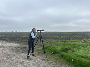 TNC's Katie Riley surveys Staten Island using a spotting scope. 
