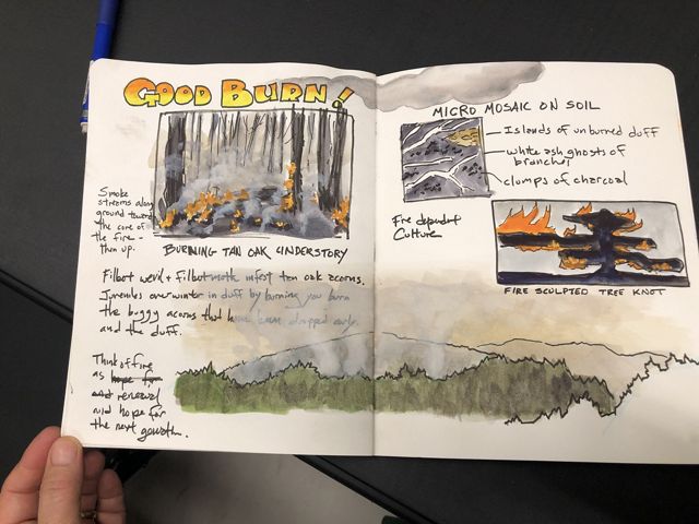 A page from nature journaler John Muir Laws, showing elements of a controlled burn.
