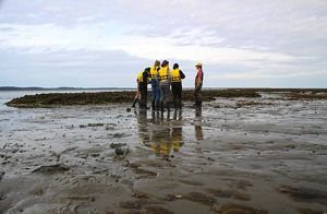 Six people stand together on a mud flat at low tide examining an exposed oyster reef at a restoration site on Virginia's Eastern Shore.