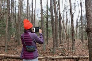 Lauren Goodman photographs a forest with a tablet.