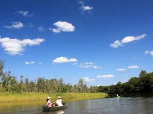 Two people paddle a canoe through a wide marsh creek. Trees line one bank; low marsh grasses line the other. Puffy white clouds dot the blue sky.