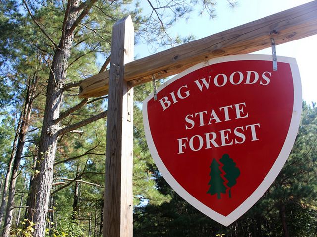 A sign at Big Woods State Forest. The shield shaped sign is painted red and reads, "Big Wood State Forest" in white letters. A illustration of green trees is painted at the bottom. 