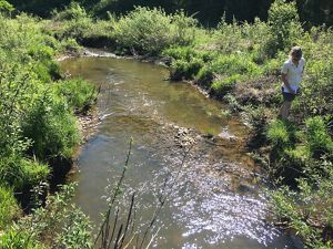 A woman walks through tall grass along the edge of a wide mountain stream.