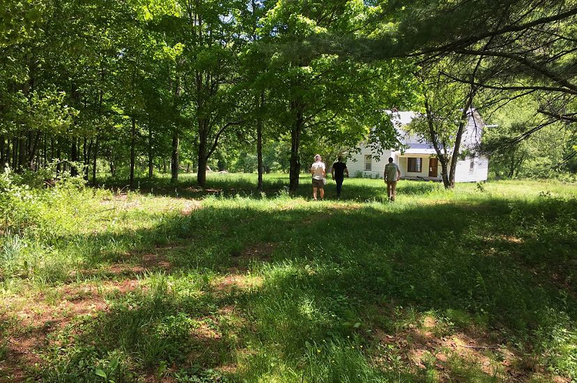 Three people walk towards a white farmhouse nestled in a grove of shade trees.