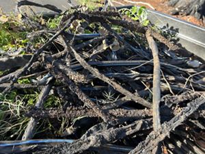 a bile of burnt wood and debris.