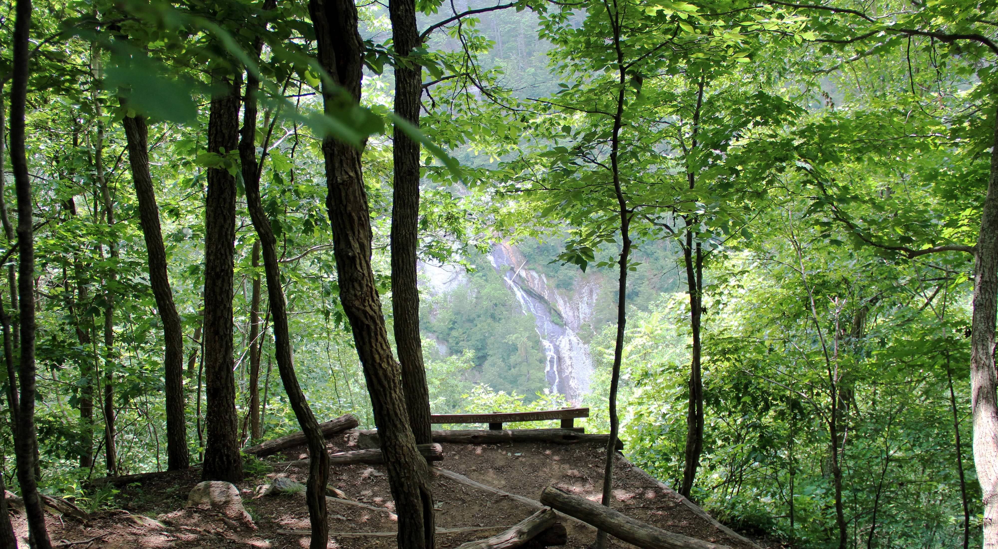View through the trees of a wooded overlook looking at a narrow waterfall. The water cascades over the bare rock face.