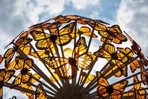 A sculpture of butterfiles with the sunlight shinning through. 