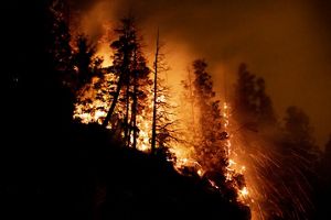 Incendio en el Bolsón. 