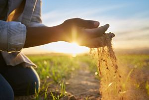 hands holding soil, slipping through the fingers.