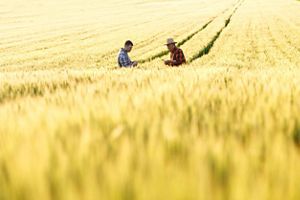 Two people standing in an agricultural field.