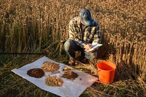 An agronomist preparing soil samples for laboratory analysis.