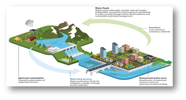 a graphic depicting how a water fund works.