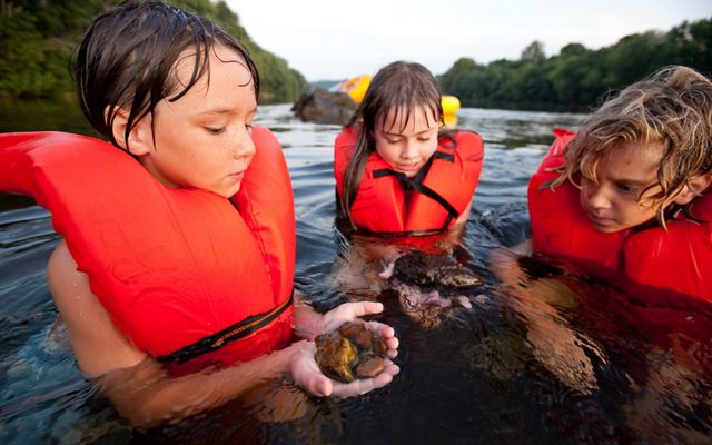 Three children wearing orange life jackets stand in a river in chest deep water examining the rocks one child is holding.