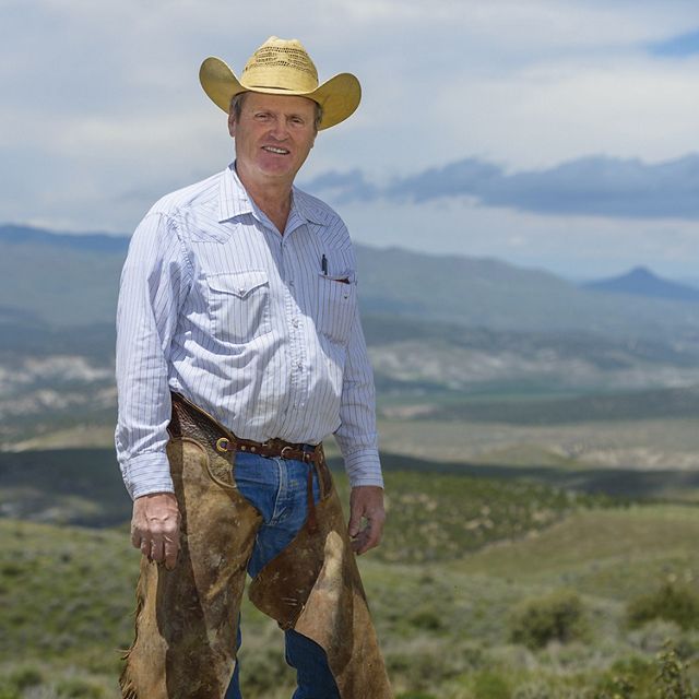 A man in a cowboy hat, blue shirt and brown chaps looks at the camera. 