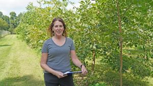 Dr. Jennifer Koch stands in a plantation of ash trees in Delaware, Ohio.