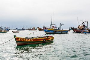 Ancon on the coast of central Peru has agreed to adopt science-based measures that have led to better catches.