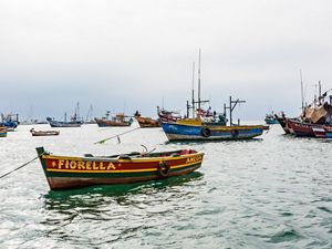 Ancon on the coast of central Peru has agreed to adopt science-based measures that have led to better catches