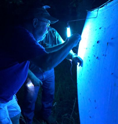 George and John surveying moths