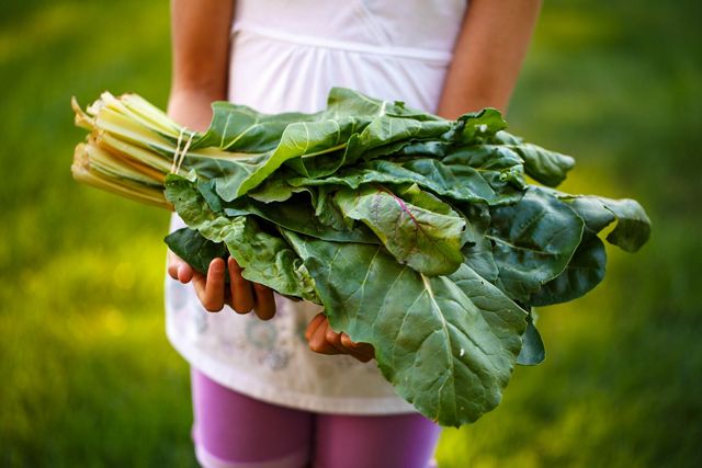 a young girl holds an armful of chard
