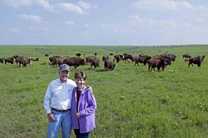 A couple stand in front of a prairie with bison roaming.