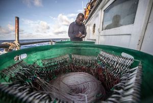 A fishery observer is a trained technician who lives on board a fishing vessel to collect information about the boat’s catch.