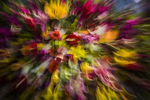 A bouquet of flowers with blossoms of red, yellow, magenta and white seems to swirl and move in a riot of color.